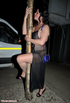 Lisa Appleton see through hot pics FamedOnes.com 068 17